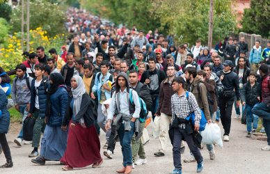 Mybidesh Blog - Illigal Migration